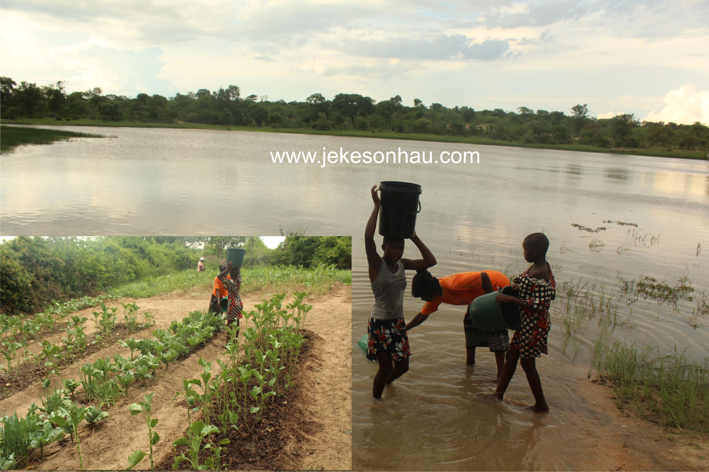 Vodiridzira kuSt Andrews Zhombe East